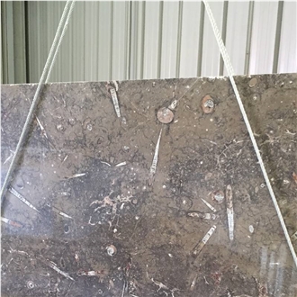 Devonian Brown Fossil Marble Slabs