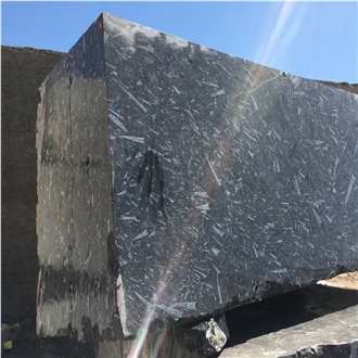 Devonian Fossil Black Marble Blocks Devonian Fossil Black Marble Blocks