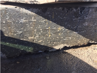 Devonian Fossil Black Marble Blocks