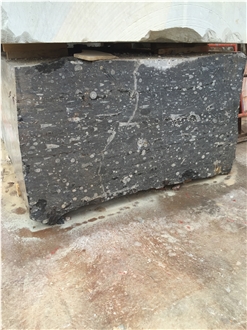 Devonian Fossil Black Marble Blocks