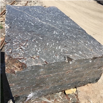 Devonian Fossil Black Marble Blocks