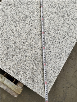 China G602 Grey Nanan Snow Plum Granite Slab Tiles