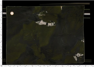 Avocatus Quartzite Slab
