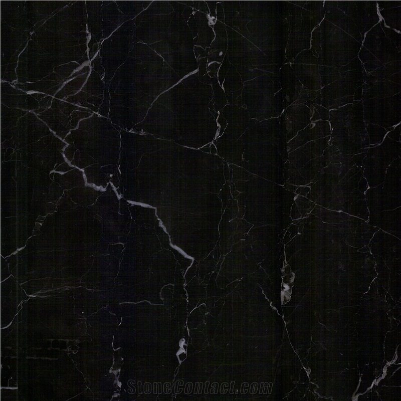 Caressi Nero Marble importance=