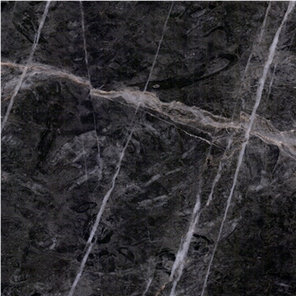 Everbloom Dark Marble Tile