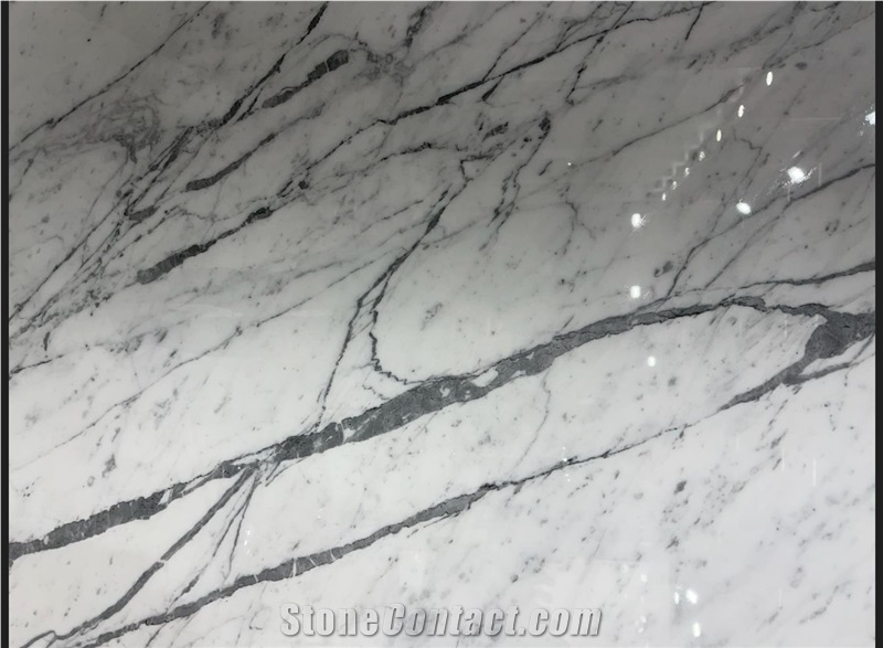 Statuarietto Venato Marble Slab