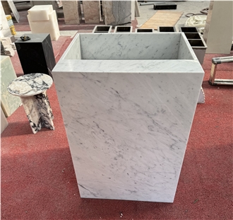 Carrara White Marble Pedestal Basin