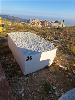 Bianco Perlino, Biancone Asiago White Perlino Marble Blocks