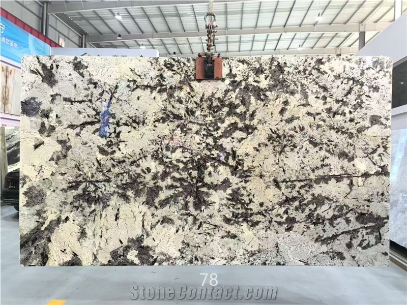 Brazil Splendour White Granite Branco Splendor Granite Slabs