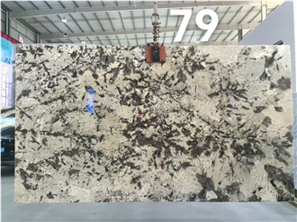 Brazil Splendour White Granite Branco Splendor Granite Slabs