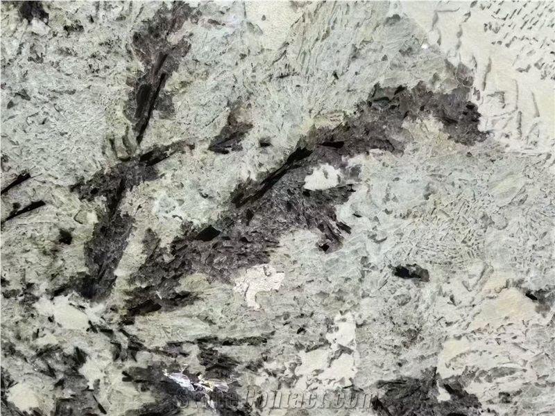 Brazil Splendour White Granite Branco Splendor Granite Slabs