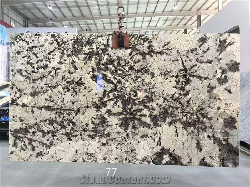 Snow Mountain Orchid  Snow Mountain Silver Fox Granite Slabs
