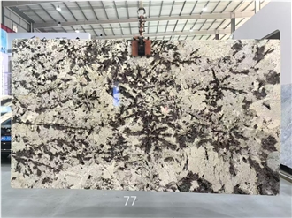 Snow Mountain Orchid  Snow Mountain Silver Fox Granite Slabs