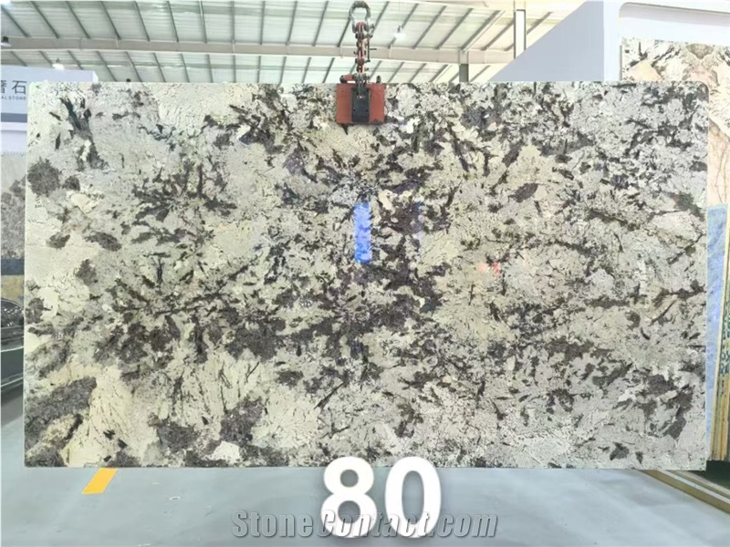 Snow Mountain Orchid  Snow Mountain Silver Fox Granite Slabs
