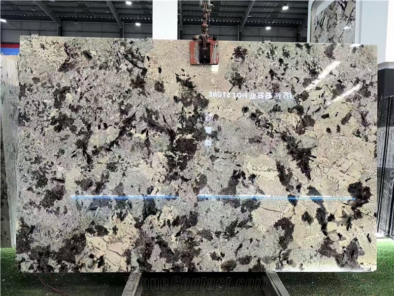 Snow Mountain Orchid  Snow Mountain Silver Fox Granite Slabs