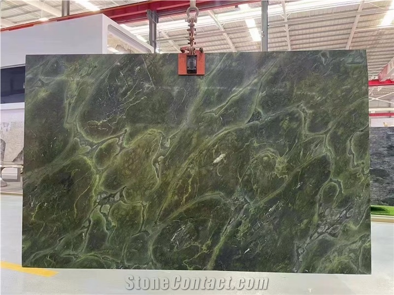 Vitoria Regia Quartzite  Amazon Green Slabs And Tilles