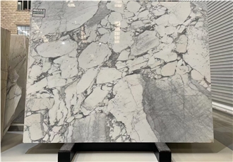 Custom Made Arabescato Marble Reception Counter