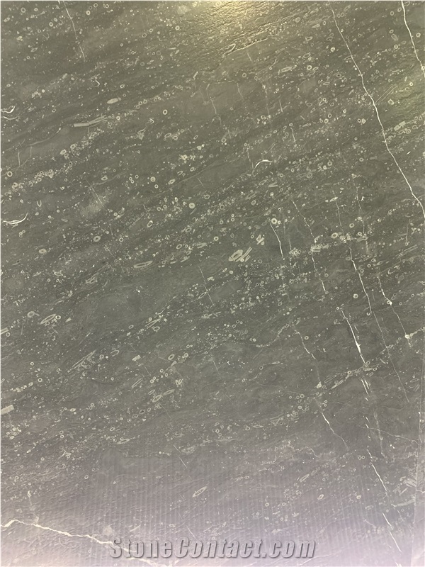 Lily Gray Marble Slabs