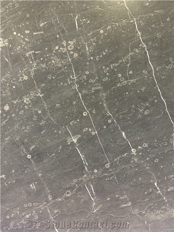 Lily Gray Marble Slabs