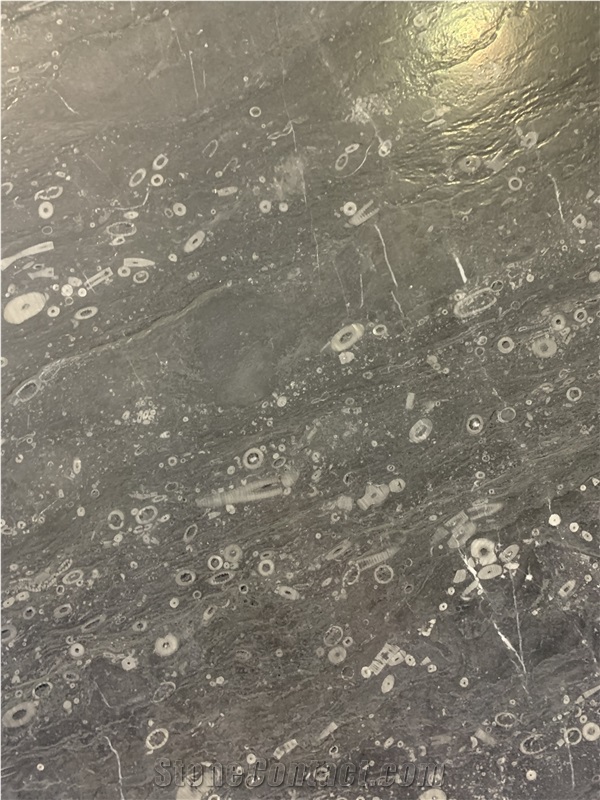 Lily Gray Marble Slabs