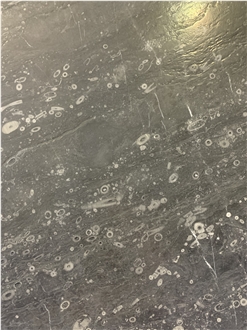 Lily Gray Marble Slabs