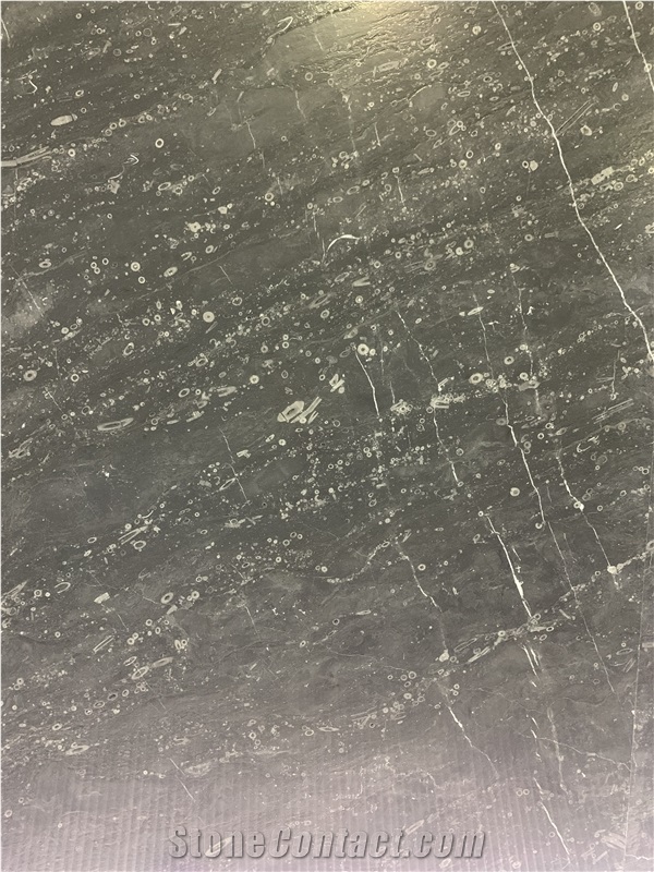 Lily Gray Marble Slabs