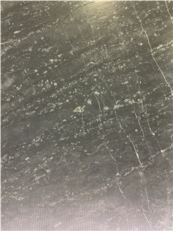 Lily Gray Marble Slabs