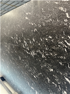 Titanium Black Snow Matrix Granite Slabs