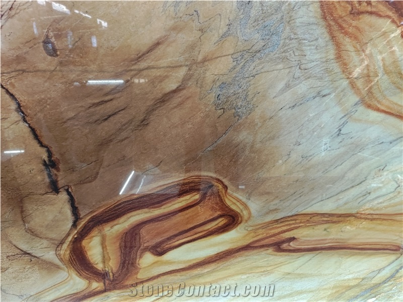 Botanic Blue Quartzite Slabs For Wall Decor