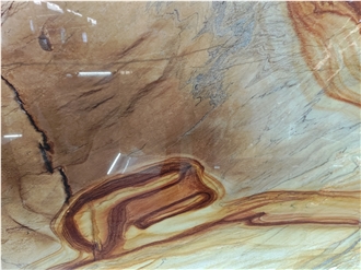 Botanic Blue Quartzite Slabs For Wall Decor
