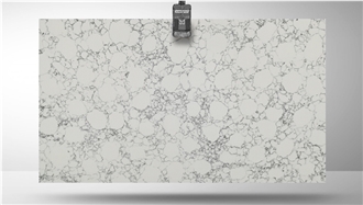 FQ043 Arabescatto Quartz Slabs