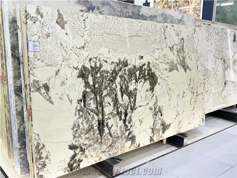 Alpinus Crystal Luxurious Granite Slabs For Wall-Cladding