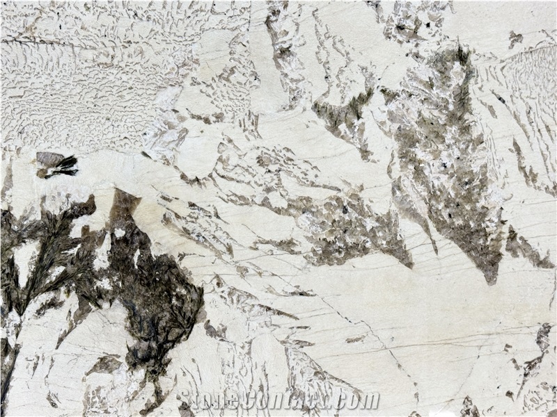 Alpinus Crystal Luxurious Granite Slabs For Wall-Cladding