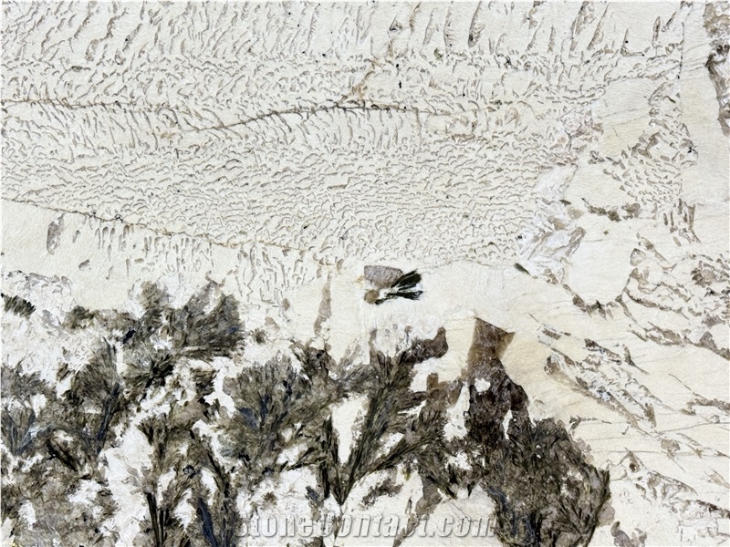 Alpinus Crystal Luxurious Granite Slabs For Wall-Cladding