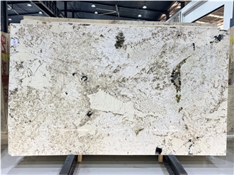 Alpinus Exotic White Brazil Polished Granite Luxious Slabs