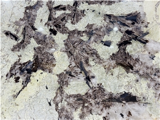 Brazil Tourmaline Patagonia Quartzite Polished Slabs
