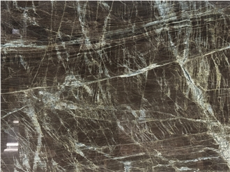 Madeirus Brown Brazilian Quartzite Polished Slabs