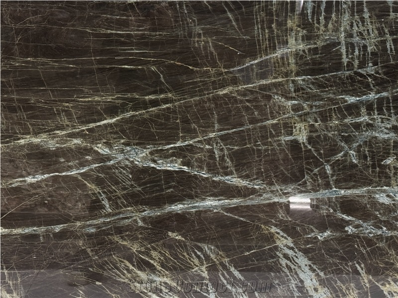 Madeirus Brown Brazilian Quartzite Polished Slabs