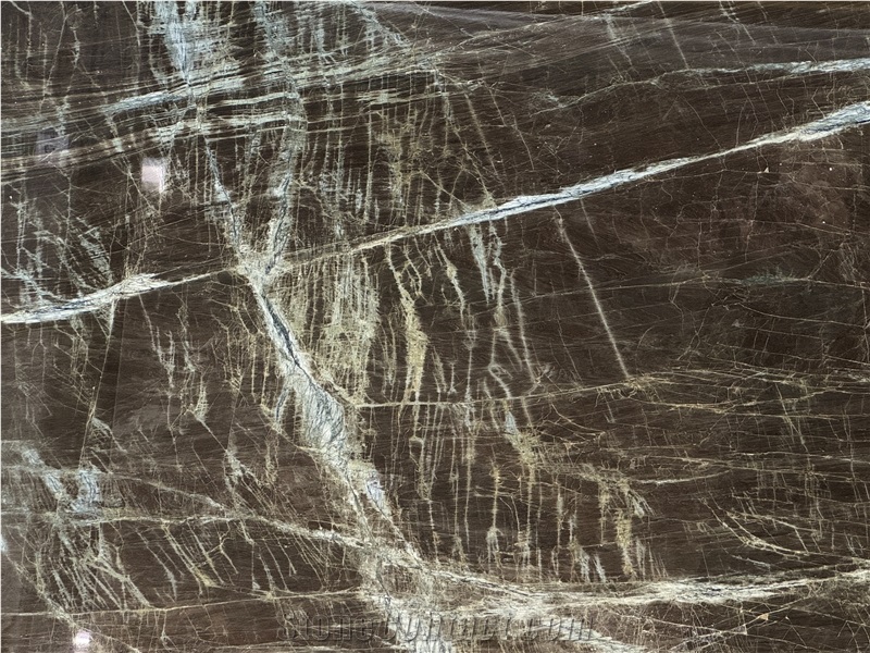 Madeirus Brown Brazilian Quartzite Polished Slabs