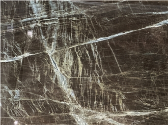 Madeirus Brown Brazilian Quartzite Polished Slabs