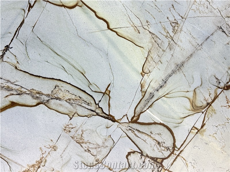 Roman Impression Quartzite Slabs With Blue Deep Root