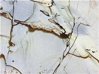 Roman Impression Quartzite Slabs With Blue Deep Root