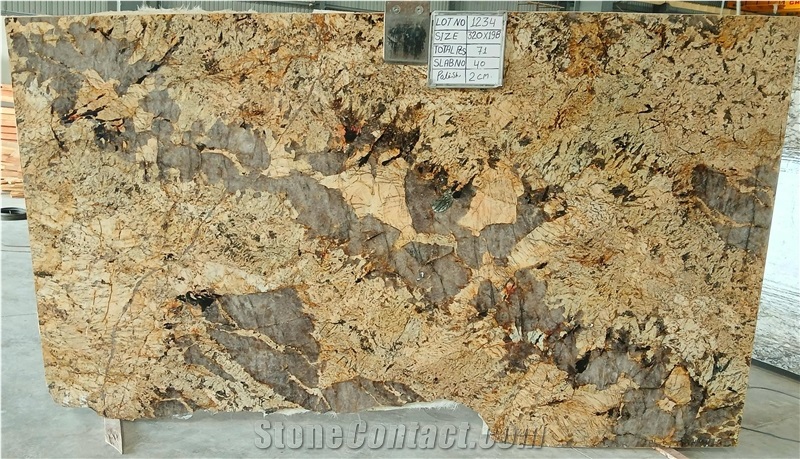 Patagonia Gold Quartzite Slabs
