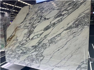 Polished  Arabescato White Marble  Slabs Wall Tile