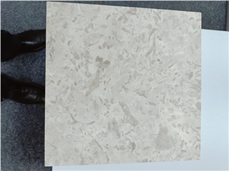 Gohare / Gohara Limestone Fossil Tiles Gohare / Gohara Limestone Fossil Tiles