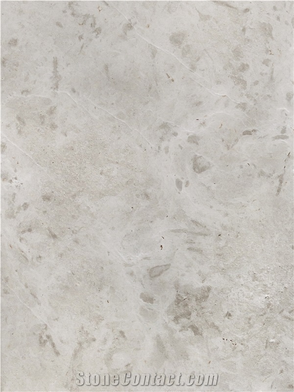 Gohare / Gohara Limestone Fossil Tiles