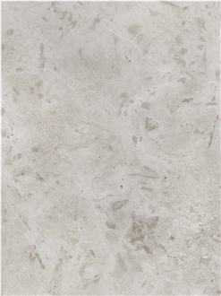 Gohare / Gohara Limestone Fossil Tiles