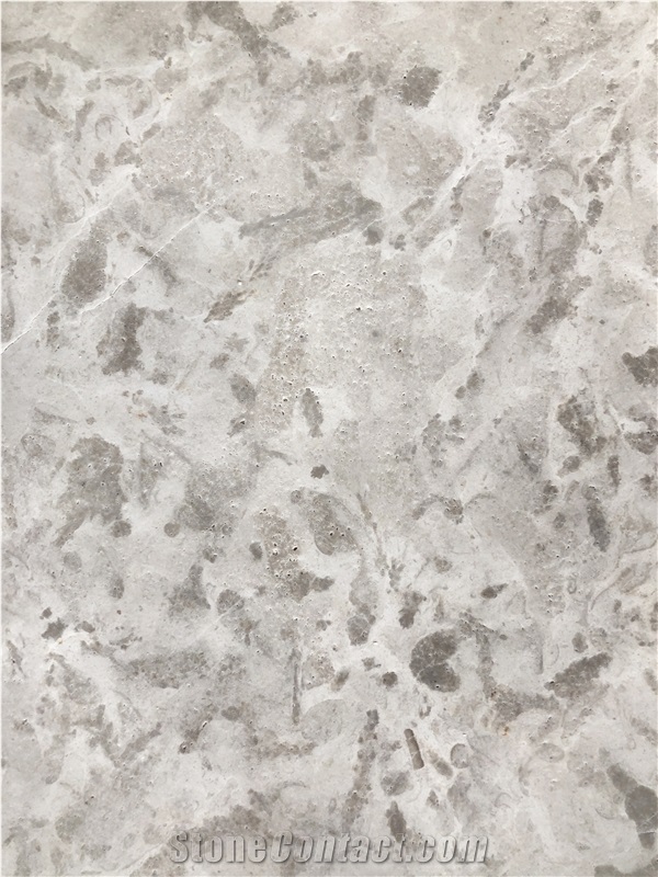 Gohare / Gohara Limestone Fossil Tiles