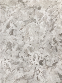 Gohare / Gohara Limestone Fossil Tiles