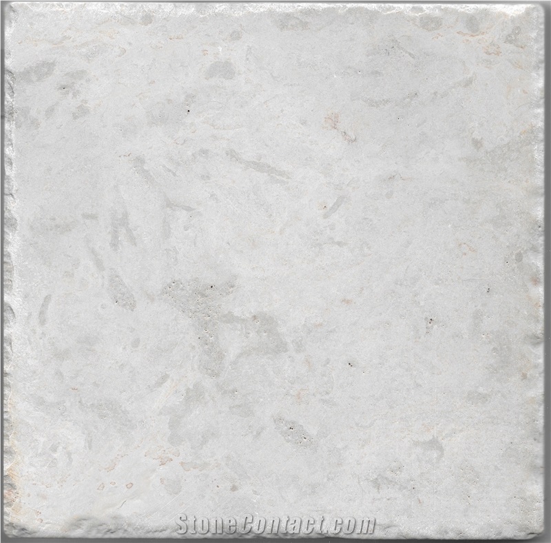 Gohare / Gohara Limestone Fossil Tiles